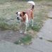 Tammy Fahey - Facebook