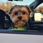 Tammy Fairchild - @tamara.fairchild.3 - Instagram