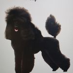 Tamara Fitzpatrick - @tlfitz2013 - Instagram