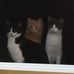 Tamera Feathers - Facebook
