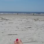 Tamara Fleming - @tamara.fleming.589 - Instagram