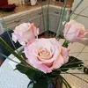Tamara Fleury188 - @tamara.fleury974 - TikTok