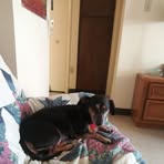 Tamara Flinchum - Facebook