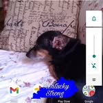 Tamara Flinchum - @tamaraflinchum6 - Instagram