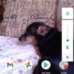 Tamara Flinchum - Facebook