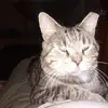 tamaraflinchum - @tamaraflinchum - TikTok