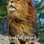 Tammy Footman - Facebook
