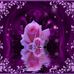 Tammy Foreman - Facebook