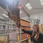 Tamara Forrest - @tamdawg98 - Instagram