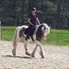 Tamara Forstner170 - @tamaraforstner170 - TikTok