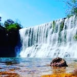 tamara free - @tamatakeo - Instagram