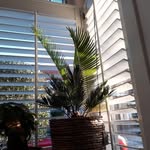 tamara - @tamara_freeth - Instagram