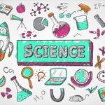 Tamara French - @frenchhive_chs - Instagram