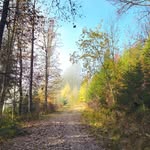 Tamara Friedrich - @einfach_sein_duerfen - Instagram