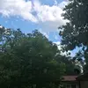 tamarafriedrich420 - @tamarafriedrich420 - TikTok