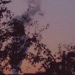 @tamara.friends0 - Instagram