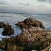 tamarafriesen569 - @tamarafriesen569 - TikTok