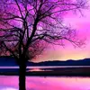 tamaragarber375 - @25284886d - TikTok