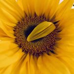Tamara Gates - @tamaragates333 - Instagram