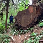 Tamara Geist Yetter - @tamarayetter - Instagram