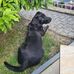 Tamara Gerlach - Facebook