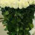 Tamara German - Facebook