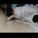 Tamara Glover - @grandmatammy1105 - Instagram
