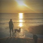 Tamara Goodman - @t_lgoodman - Instagram