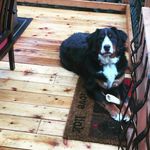 Tamara Grimm - @momof3happyascanbe - Instagram