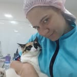 Tamara cristina  groomer - @groomer_tamaracristina - Instagram
