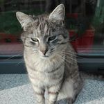 Tamara Gruber - @gruber2959 - Instagram