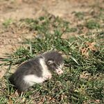 tamara - @tamara_hacker - Instagram