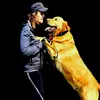 tamitörtchen🍄🐕🎂 - @tamararothacker6 - TikTok