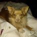 Tammy Hackett - Facebook