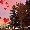 Tamara Hadley Powell - @tamara.hadley.pow - TikTok