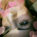 Tamara Hagan - Facebook