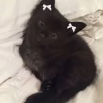 088 - @tamarahaley._ - Instagram