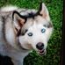 Tammy Jeff Halstead - Facebook