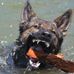 Tammy M Halstead - Facebook