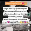 Tamara.Hancock - @donnegdj319 - TikTok