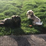 Tamara Haney Finch - @tamarafinch84 - Instagram