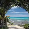 Tamara W. Haney - @user612215840 - TikTok
