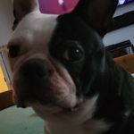 Tamara Hardwick - @hardwicktamara6 - Instagram