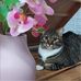 Tamara Harmsen - Facebook