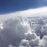 Tamara Morrison Harms - @tamaraem83 - Instagram