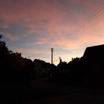 Tamara Hartmann - @hartmanntamara997 - Instagram
