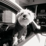 Tamara Hatcher - @tamairah.charlevoix - Instagram