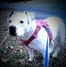 Tamara Heath - Facebook