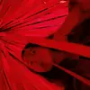 Tamara Hecker - @tamarahecker - TikTok