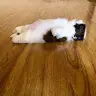 TAMARA TORRES HECKER - @user668204622 - TikTok